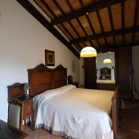 La Casetta Dei Gelsi Civitella dʼAgliano Exterior foto